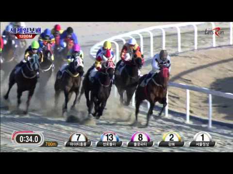 Gwanggyo Bisang - Segye Ilbo Cup 2015