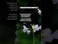 Anbae Peranbae Song Lyrics Whatsapp Status ️Mazhai Vaanam Thoorum Pothu Manal Ena Koosumo Shortsfe