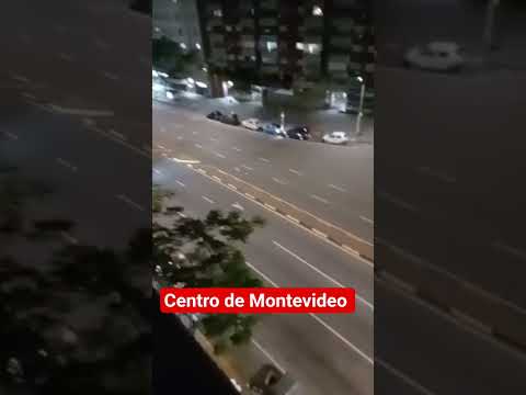 CENTRO DE MONTEVIDEO Av. Libertador Brigadier General Lavalleja, Colaboración Prima Rosario