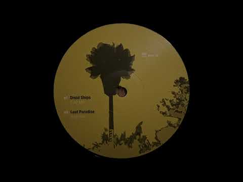 Markus Guentner - Lost Paradise [Ware]