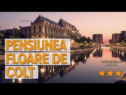 Pensiunea Floare de Colt hotel review | Hotels in Baile Herculane | Romanian Hotels