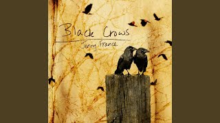Black Crows