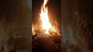 Download lagu Sugih Tanpo Bondo #sujiwotejo #sujiwotedjo mp3