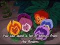 The Garden All In The Golden Afternoon Lyrics From Alice In Wonderland The Flowers Song