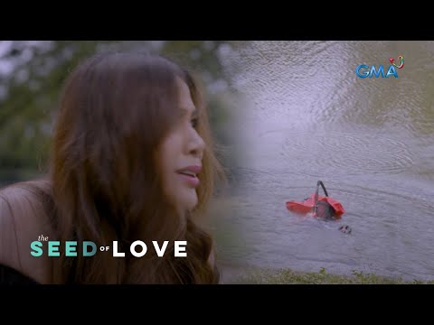 The Seed of Love: Looming danger against Malaya (Episode 41)