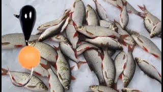 Зимняя рыбалка на реках 2019