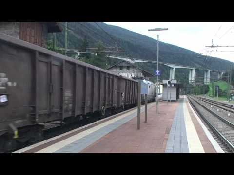 Tiger in Gossensaß/Tigre a Colle Isarco