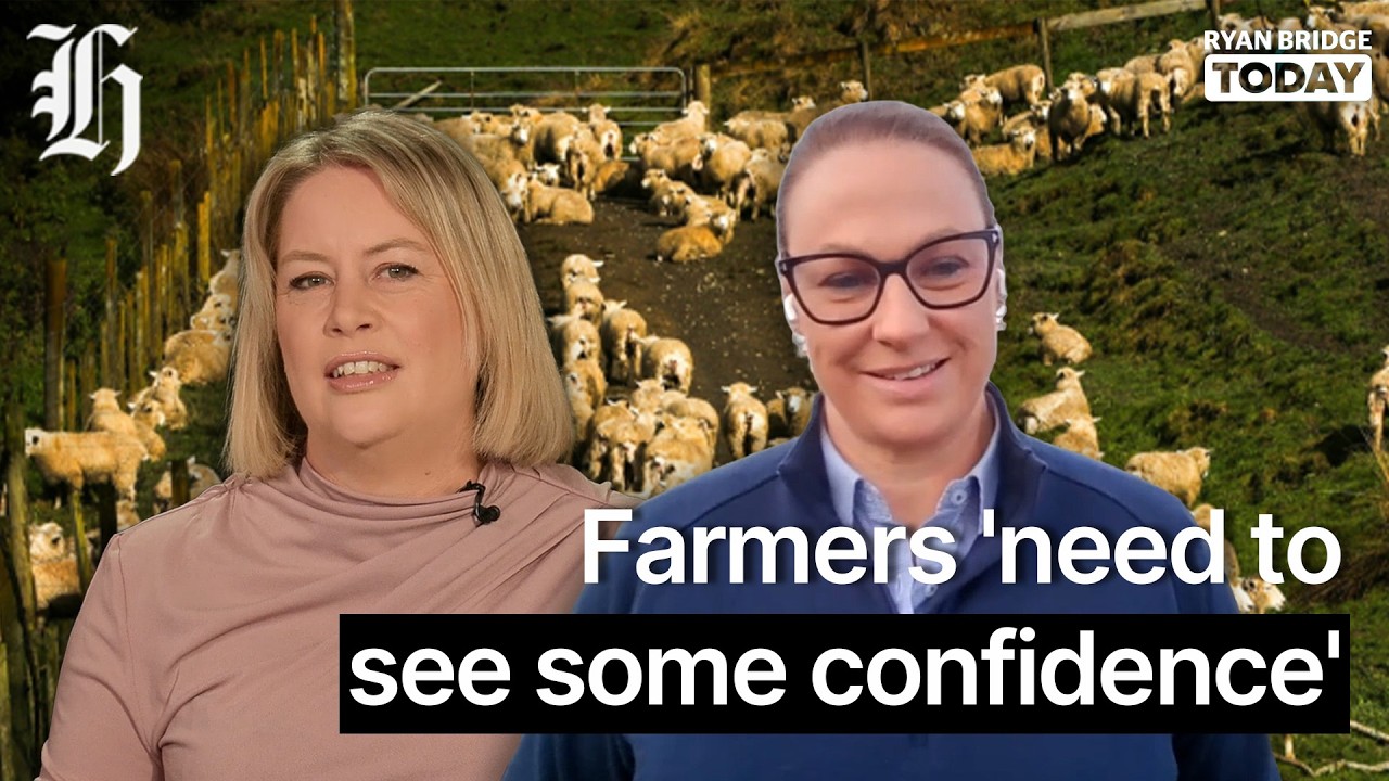 Farmers 'need to see some confidence' to really invest in boosting sheep numbers | Ryan Bridge TODAY