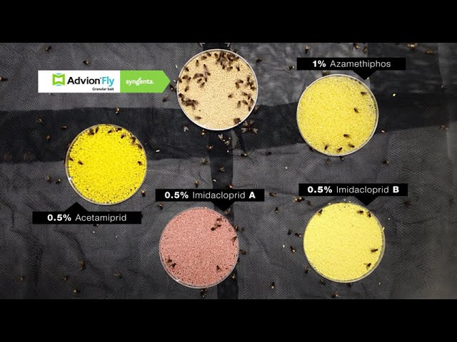 Advion Fly 500 grams to combat flies, pleasant taste