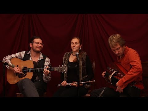 BUBE DAME KÖNIG - Es ist für uns eine Zeit angekommen (Saalesession 6)