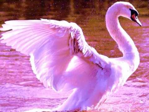 Franck Pourcel - Momentos ( Moments )