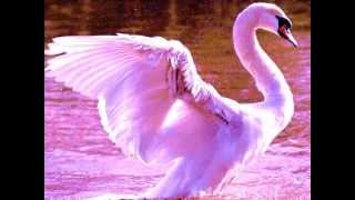 Franck Pourcel - Momentos ( Moments )