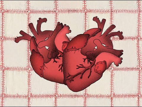 SOIN(서인) - 0cm Official Video