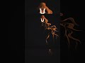 Jay Shree Ram Veerhanuman Anjniputra Music Hanumanchalisaeverybodyproductions
