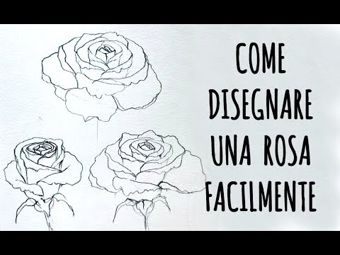 Come Disegnare Una Rosa Youtube Come Disegnare