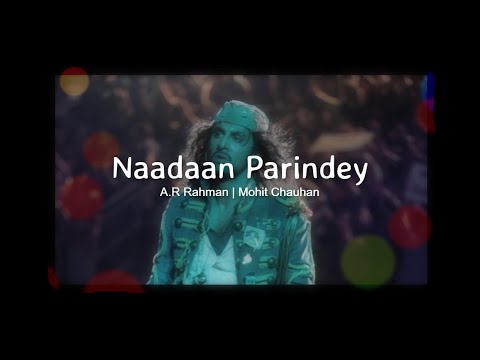 Nadaan Parindey[Slowed+Reverb]-A.R Rahman | Mohit Chauhan (rockstar edits)