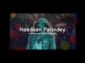 Nadaan Parindey Slowed Reverb A R Rahman Mohit Chauhan Rockstar Edits