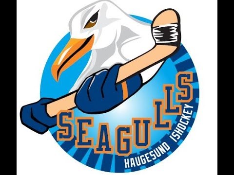 Haugesund Seagulls - Nidaros Hockey / 13. Desember 2015