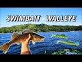 Video Thumbnail for Kayak Fishing Paddle Tail SwimBaits for Shallow Water Walleye (Catch and Clean) | Pasqua Lake, SK