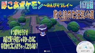 【ぽこあポケモン】１１７日目「狂気の木のみちと待っていたポケモンとの出会い」（つぼやきラジオ 47:27 頃～ ）