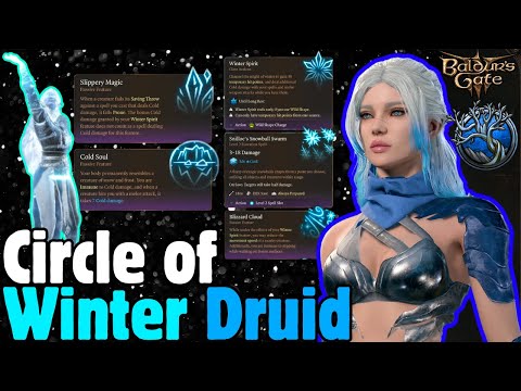 Circle of WINTER DRUID Mod Build - Baldur's Gate 3