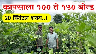 कापसाचे एकरी 20 ते 25 क्विंटल उत्पादन शक्य..! 🔥⚡