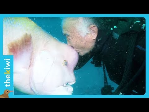 He’s been visiting the same fish for the last 25 years