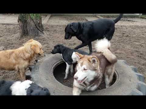 HUTA Impressions 07.01.2019