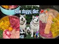 What my malamute dog  eat in 1 week on raw diet | dog raw feeding