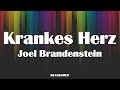 Joel Brandenstein - Krankes Herz Lyrics