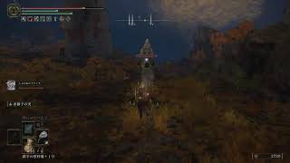 [ELDEN RING]ケイリッドとボス攻略　＃9