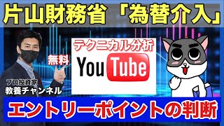 片山財務省「為替介入」実施していく