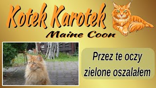 Kotek Karotek - kot zielonooki