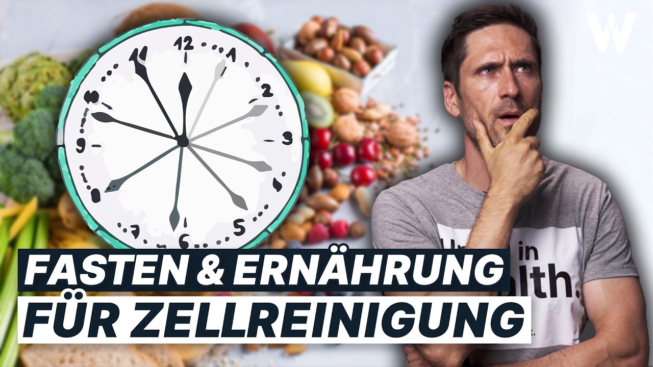 Autophagie als Zellbooster: Wieviel bringt die Zellreinigung wirklich? (Wissenschaftliche Fakten)