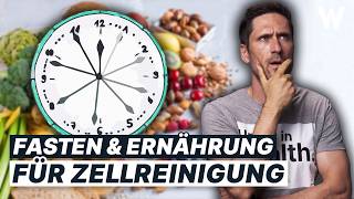 Autophagie als Zellbooster: Wieviel bringt die Zellreinigung wirklich? (Wissenschaftliche Fakten)