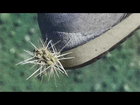 Ross From Friends - 'Love Divide'