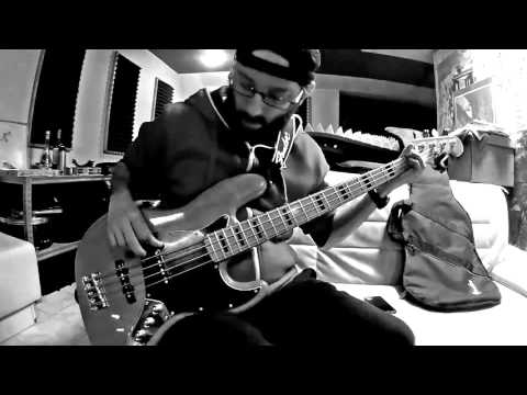 THE KREINS - ANYTIME IN LIFE record trailer