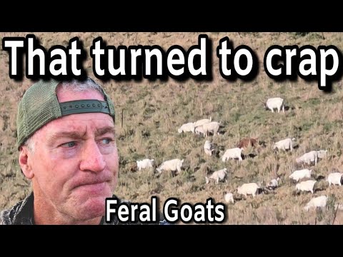 When it turns to crap || Goat hunting in Australia