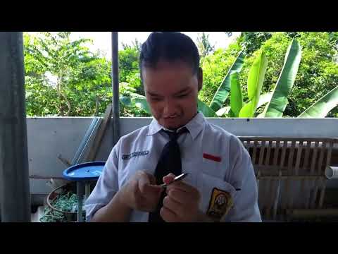 IKLAN LAYANAN MASYARAKAT || STOP BULLYING