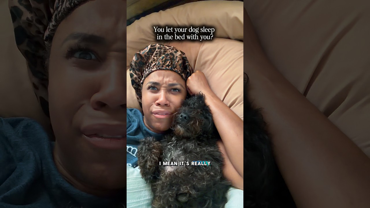 I’m a MUVA honey! #dogmom #dogshorts #rescuedog #puppies