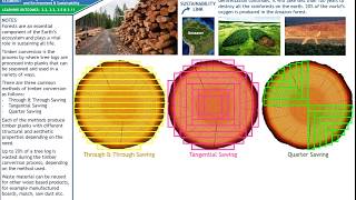 Wood Technology: Timber Conversion