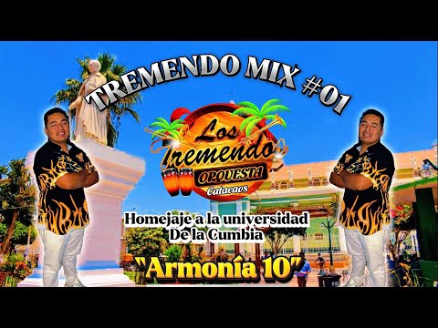 Tremendo mix #01 - Homenaje a la Universidad de la Cumbia “Armonía 10” (D.R.)