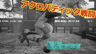 【SHINOBI】爽快！豪快！髪型が痛快ｗSEKIRO系アクションゲーム。【ゲーム実況】