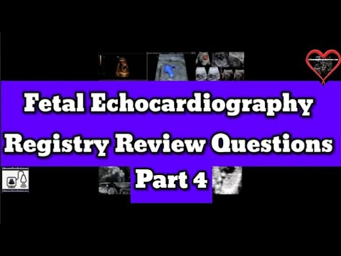 Fetal Echocardiography Registry Review