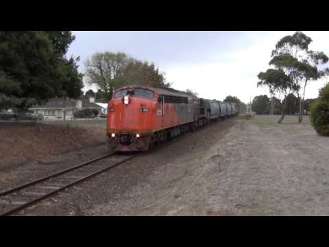 El Zorro Grain wagon transfer to portland.