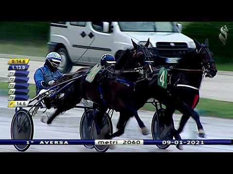 Aversa trotto 9 Gennaio 2021 - 1° Corsa