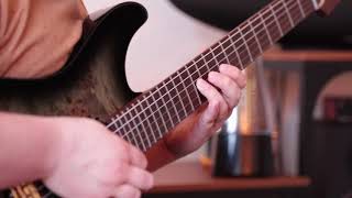 Opeth - Serenity Painted Death (solo cover)