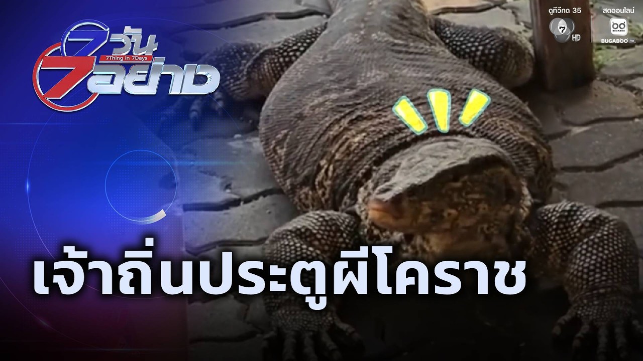 เจ้าถิ่นประตูผีโคราช | 7 วัน 7 อย่าง