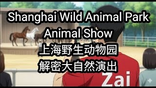 上海野生动物园 - 解密大自然演出