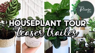 Indoor Plant Collection Trailer
